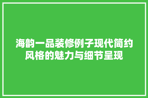 海韵一品装修例子现代简约风格的魅力与细节呈现