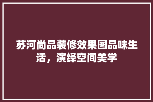 苏河尚品装修效果图品味生活，演绎空间美学