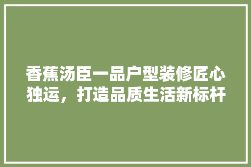 香蕉汤臣一品户型装修匠心独运，打造品质生活新标杆