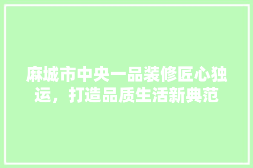 麻城市中央一品装修匠心独运，打造品质生活新典范