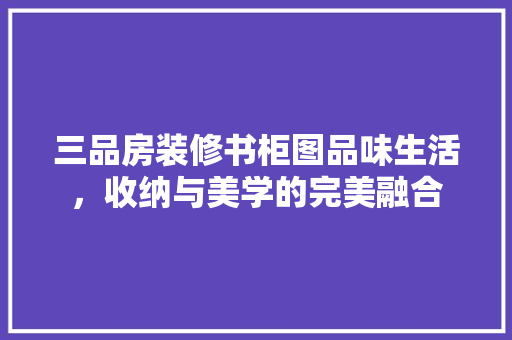 三品房装修书柜图品味生活，收纳与美学的完美融合