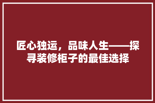 匠心独运，品味人生——探寻装修柜子的最佳选择