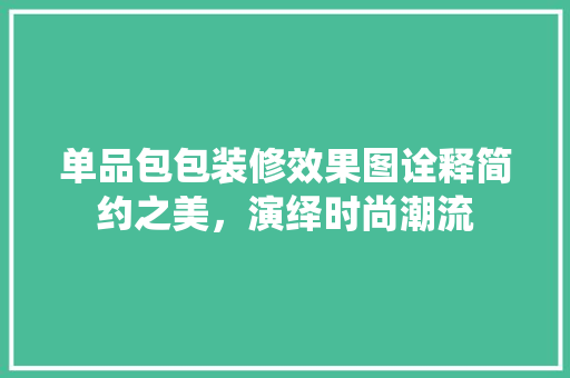单品包包装修效果图诠释简约之美，演绎时尚潮流