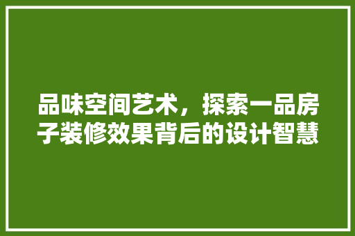 品味空间艺术，探索一品房子装修效果背后的设计智慧