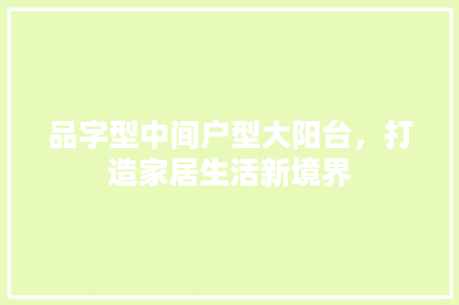 品字型中间户型大阳台，打造家居生活新境界