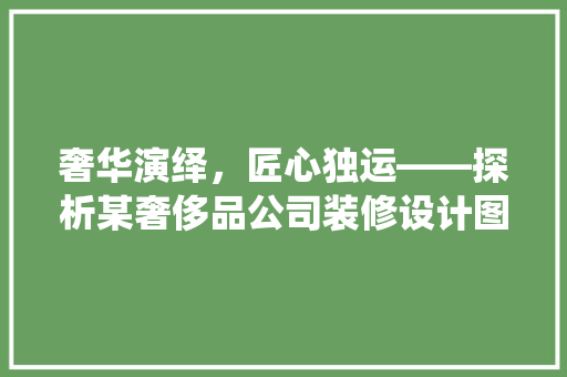 奢华演绎，匠心独运——探析某奢侈品公司装修设计图背后的美学智慧