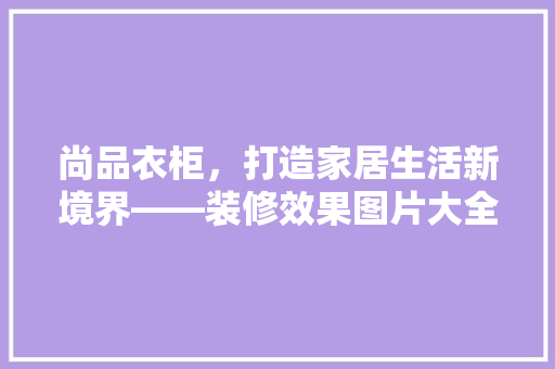 尚品衣柜，打造家居生活新境界——装修效果图片大全赏析