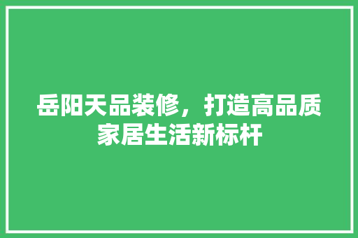 岳阳天品装修，打造高品质家居生活新标杆