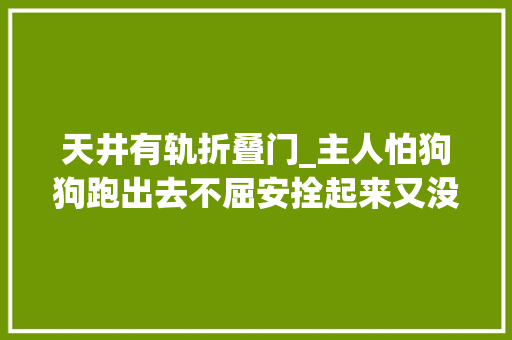 天井有轨折叠门_主人怕狗狗跑出去不屈安拴起来又没有自由决定做个有轨电狗 塑钢门