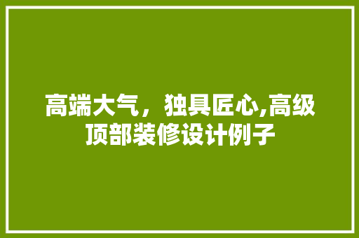 高端大气，独具匠心,高级顶部装修设计例子