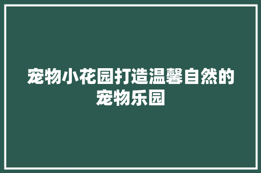 宠物小花园打造温馨自然的宠物乐园