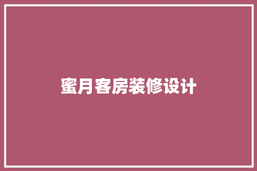 蜜月客房装修设计