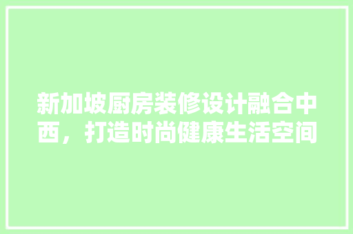 新加坡厨房装修设计融合中西，打造时尚健康生活空间