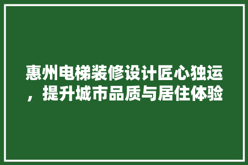 惠州电梯装修设计匠心独运，提升城市品质与居住体验