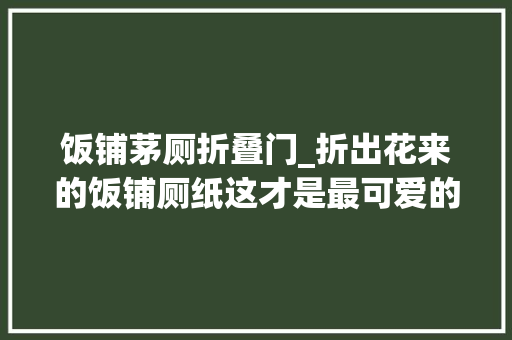 饭铺茅厕折叠门_折出花来的饭铺厕纸这才是最可爱的迎宾礼 复合门