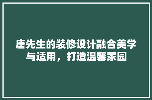 唐先生的装修设计融合美学与适用，打造温馨家园