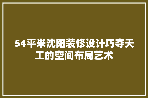 54平米沈阳装修设计巧夺天工的空间布局艺术