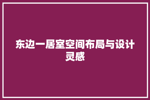 东边一居室空间布局与设计灵感