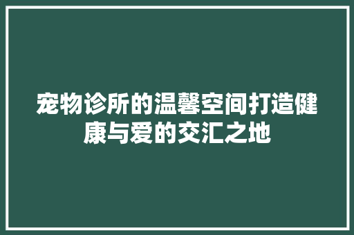 宠物诊所的温馨空间打造健康与爱的交汇之地