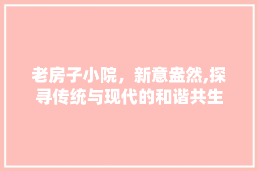 老房子小院，新意盎然,探寻传统与现代的和谐共生