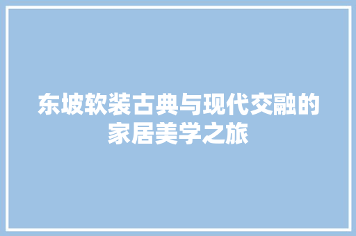 东坡软装古典与现代交融的家居美学之旅