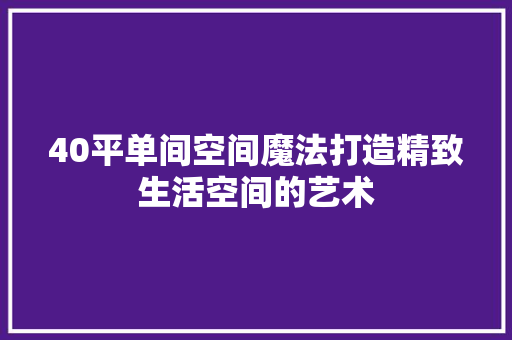 40平单间空间魔法打造精致生活空间的艺术