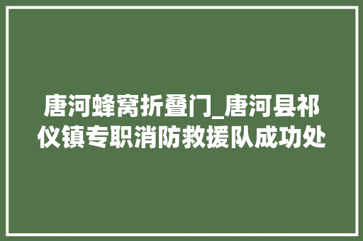 唐河蜂窝折叠门_唐河县祁仪镇专职消防救援队成功处置马蜂窝险情