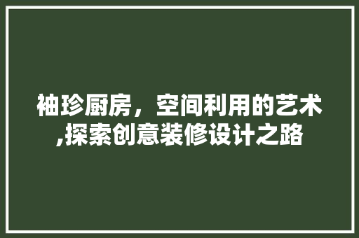 袖珍厨房，空间利用的艺术,探索创意装修设计之路