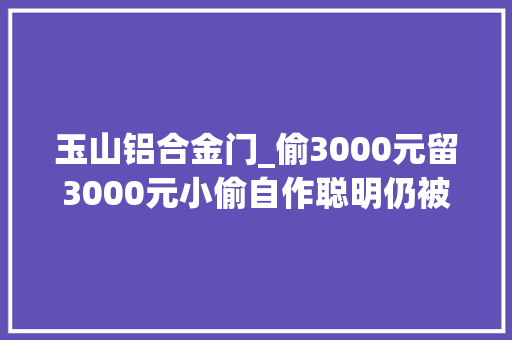 玉山铝合金门_偷3000元留3000元小偷自作聪明仍被玉山公安抓获 滑动门