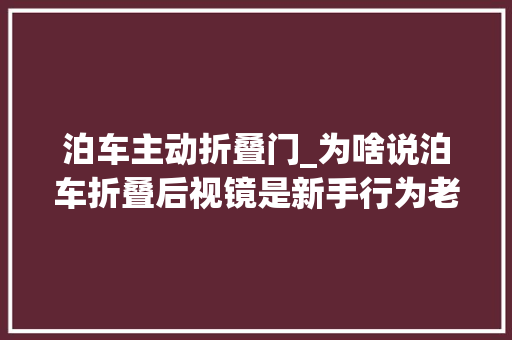 泊车主动折叠门_为啥说泊车折叠后视镜是新手行为老司机说了几点原因太现实了