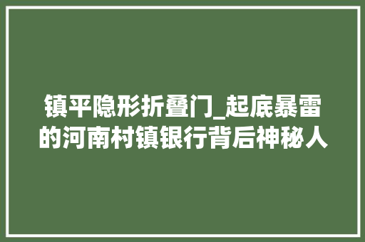 镇平隐形折叠门_起底暴雷的河南村镇银行背后神秘人谁的白手套