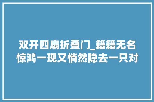 双开四扇折叠门_籍籍无名惊鸿一现又悄然隐去一只对象箱凭什么要价近百万