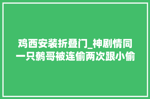 鸡西安装折叠门_神剧情同一只鹩哥被连偷两次跟小偷混熟了居然还跟他学了一嘴脏话 铝合金门