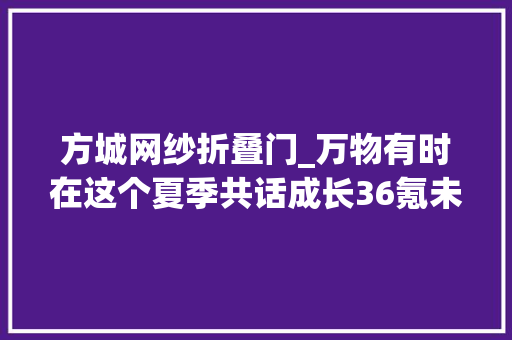方城网纱折叠门_万物有时在这个夏季共话成长36氪未来品牌大年夜会