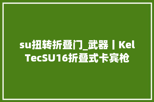 su扭转折叠门_武器丨KelTecSU16折叠式卡宾枪 滑动门