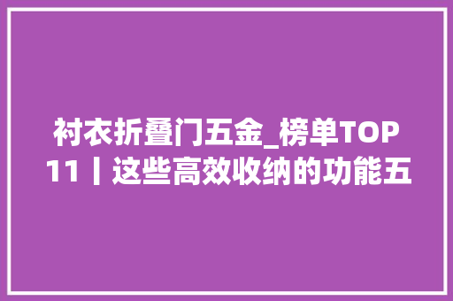 衬衣折叠门五金_榜单TOP11丨这些高效收纳的功能五金你选对了吗