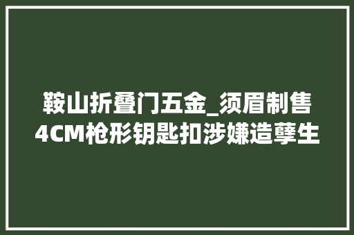 鞍山折叠门五金_须眉制售4CM枪形钥匙扣涉嫌造孽生意枪支罪一审开庭枪支剖断标准再惹争议 玻璃门