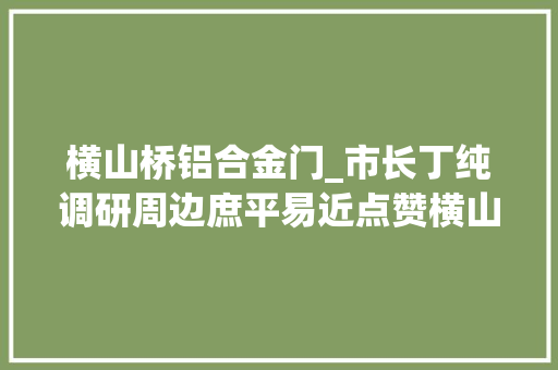 横山桥铝合金门_市长丁纯调研周边庶平易近点赞横山桥镇开挂了