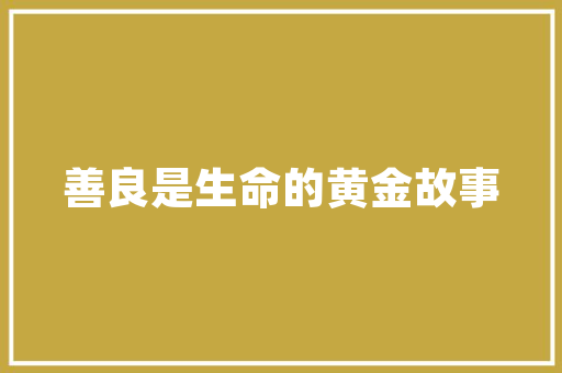 牛头铝合金门锁_牛头锁关门很费劲的时刻教你三个小方法立马就能解决问题