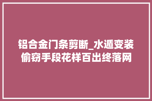 铝合金门条剪断_水遁变装偷窃手段花样百出终落网 塑钢门