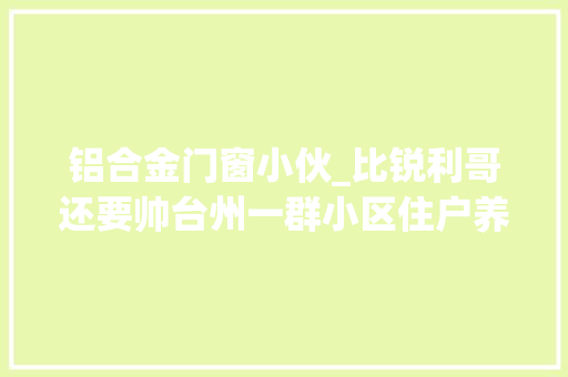 铝合金门窗小伙_比锐利哥还要帅台州一群小区住户养了他3年多今终于找到了家人