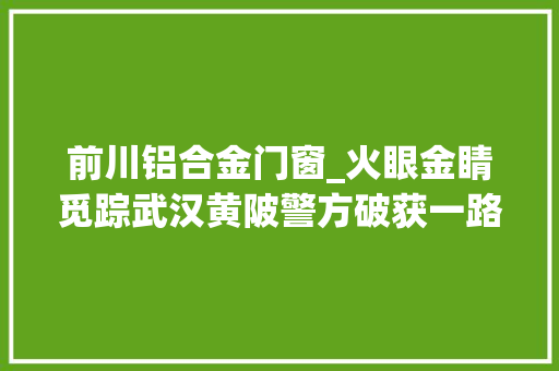 前川铝合金门窗_火眼金睛觅踪武汉黄陂警方破获一路偷窃7吨铝材案