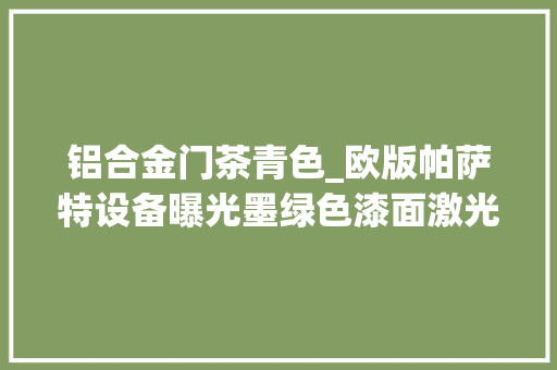 铝合金门茶青色_欧版帕萨特设备曝光墨绿色漆面激光大年夜灯20T预售18万