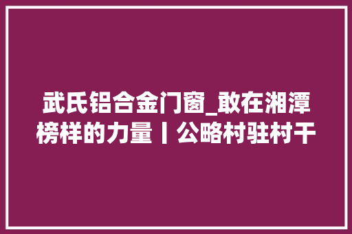 武氏铝合金门窗_敢在湘潭榜样的力量丨公略村驻村干部武文渡的振兴攻略 复合门