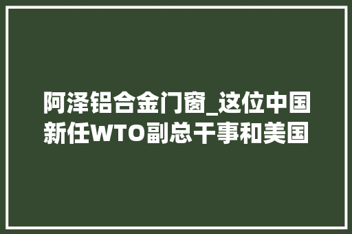 阿泽铝合金门窗_这位中国新任WTO副总干事和美国人过招20年谈判席上妙喻连连