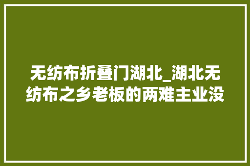 无纺布折叠门湖北_湖北无纺布之乡老板的两难主业没订单百万买进口罩机却是三无产品