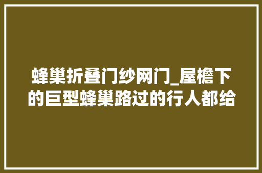 蜂巢折叠门纱网门_屋檐下的巨型蜂巢路过的行人都给蛰伤了请我表哥来处理一下