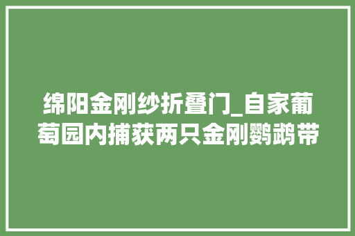 绵阳金刚纱折叠门_自家葡萄园内捕获两只金刚鹦鹉带回家喂养绵阳一居平易近被公诉