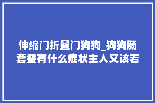 伸缩门折叠门狗狗_狗狗肠套叠有什么症状主人又该若何治疗带你熟习狗狗的肠套叠