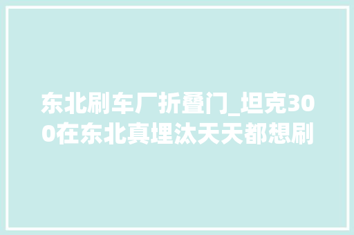 东北刷车厂折叠门_坦克300在东北真埋汰天天都想刷撸车日常